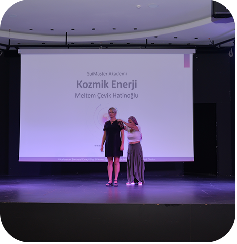 SuiMaster Akademi