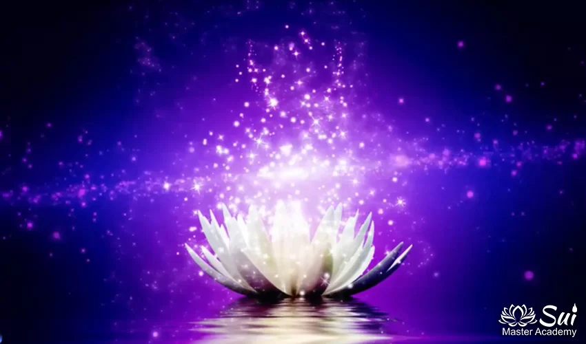 Şifa için Mor Alev