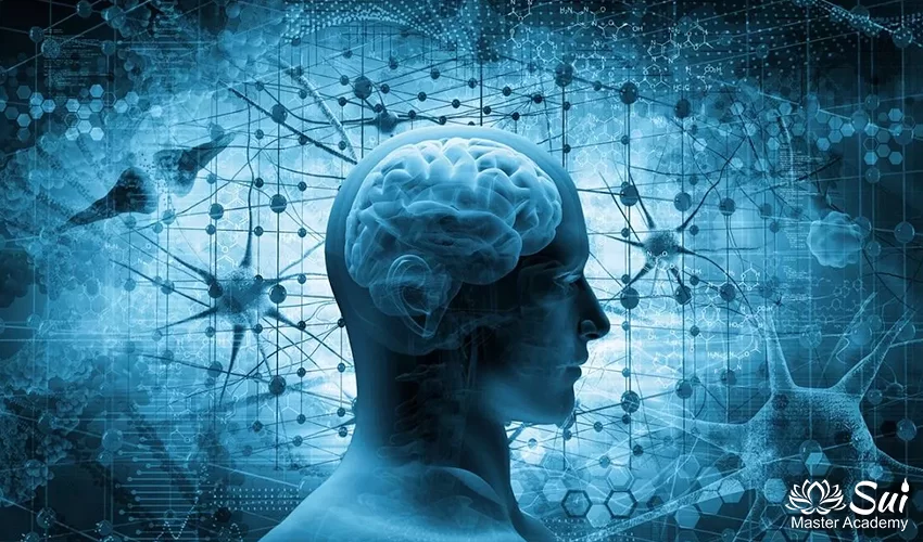 Zihin, Bedeni Nasıl Etkiler?